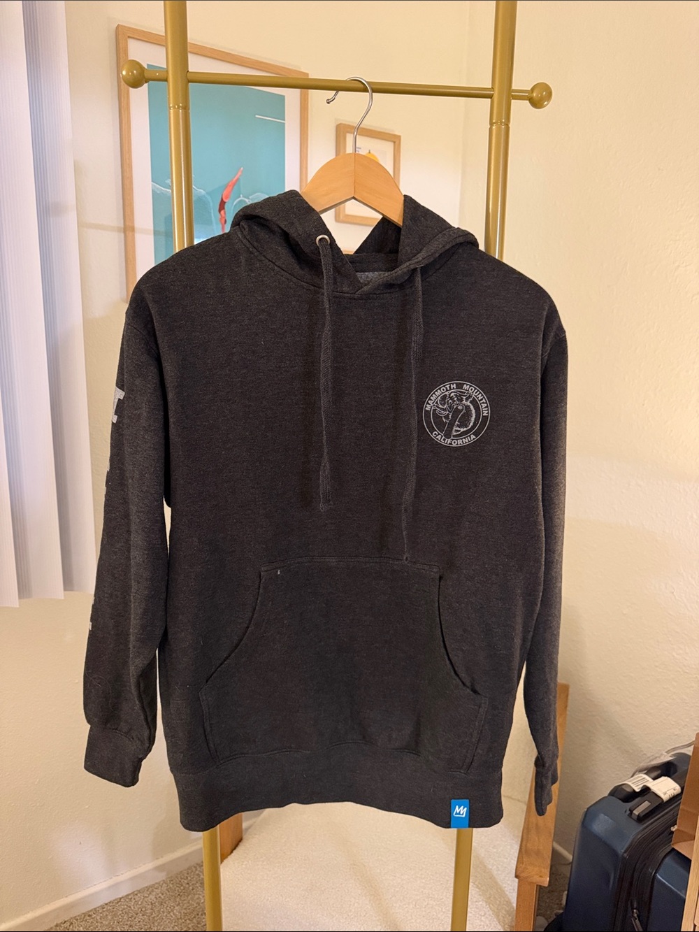 Mammoth Mountain Pullover Hoodie- Like New